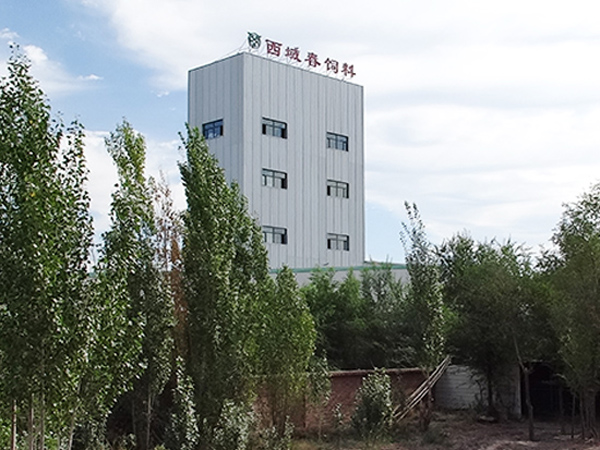 新疆西域春乳业